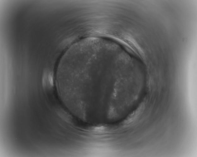X0000089760068200706211551