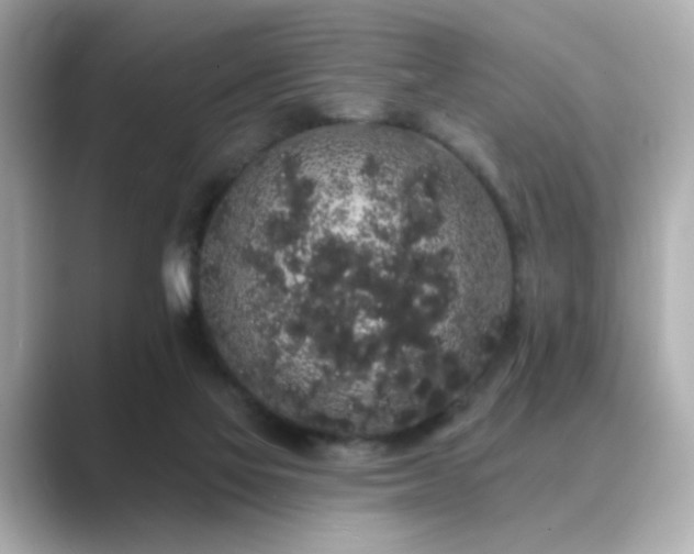 X0000089760069200706211551