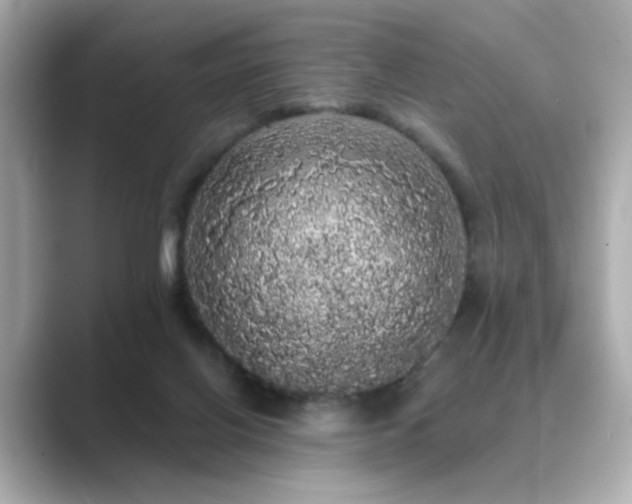 X0000089760070200706211551