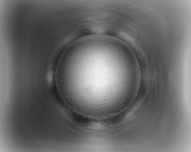 X0000089760071200706211551