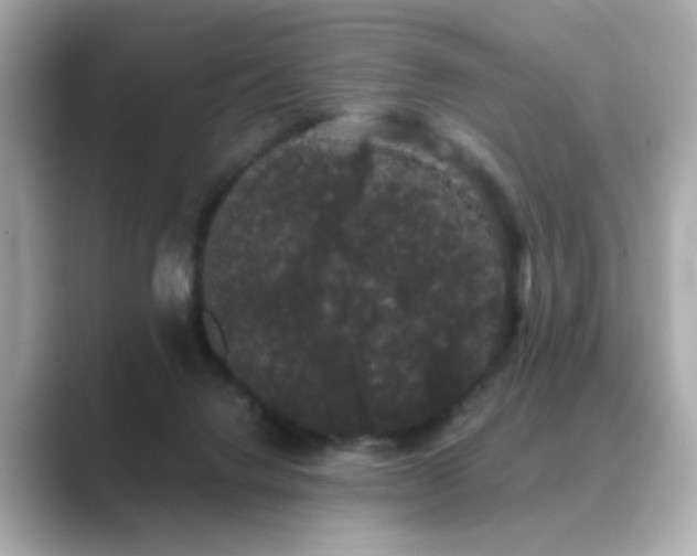 X0000089760072200706211551