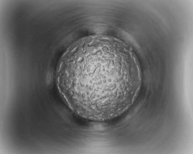 X0000089760073200706211551