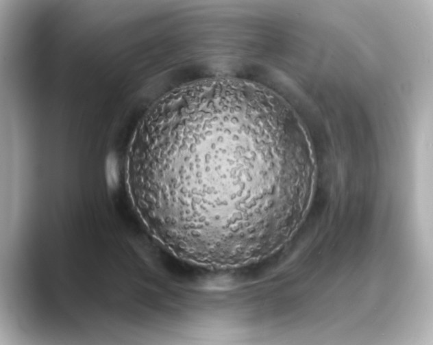 X0000089760075200706211551