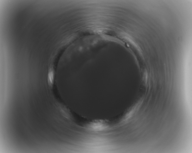 X0000089760076200706211551