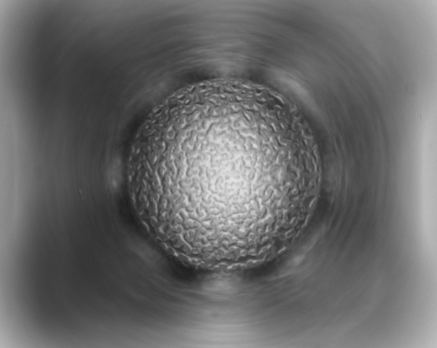 X0000089760077200706211551