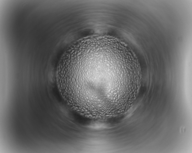 X0000089760078200706211551