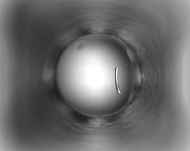 X0000089760079200706211551
