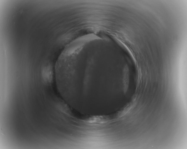 X0000089760080200706211551