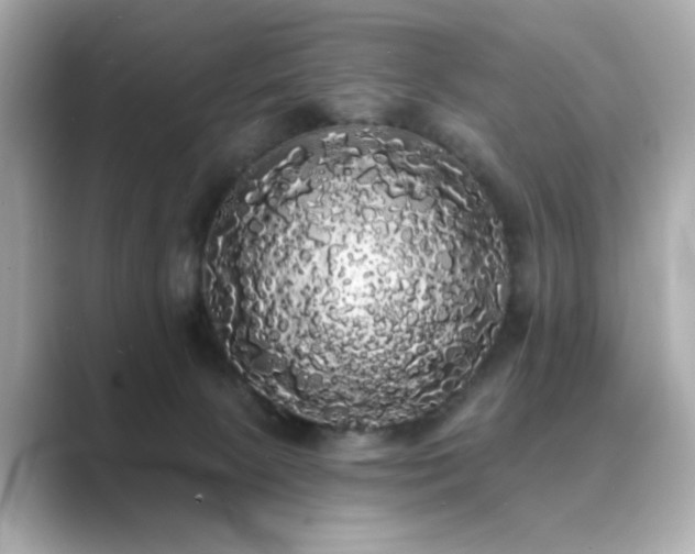 X0000089760081200706211551