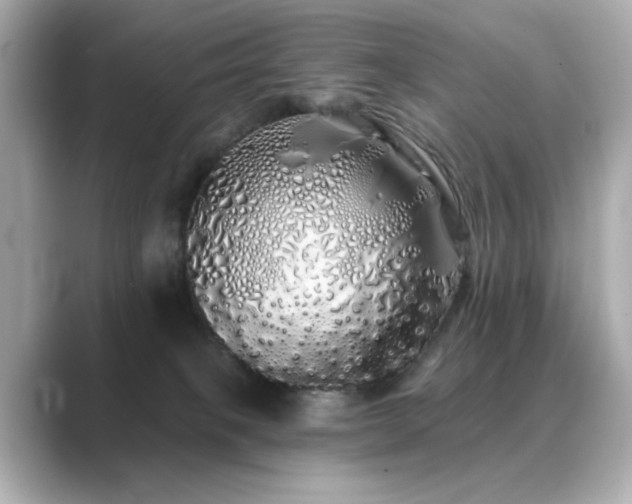 X0000089760085200706211551