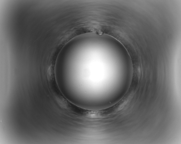 X0000089760088200706211551
