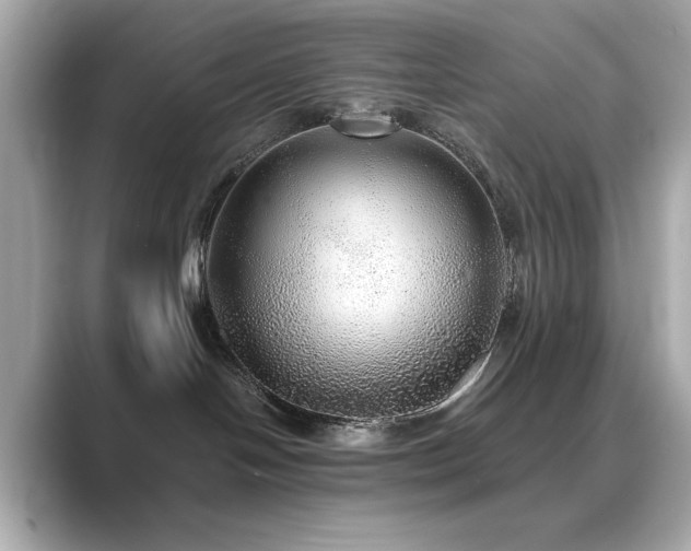 X0000089760094200706211551
