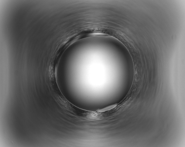 X0000089760096200706211551