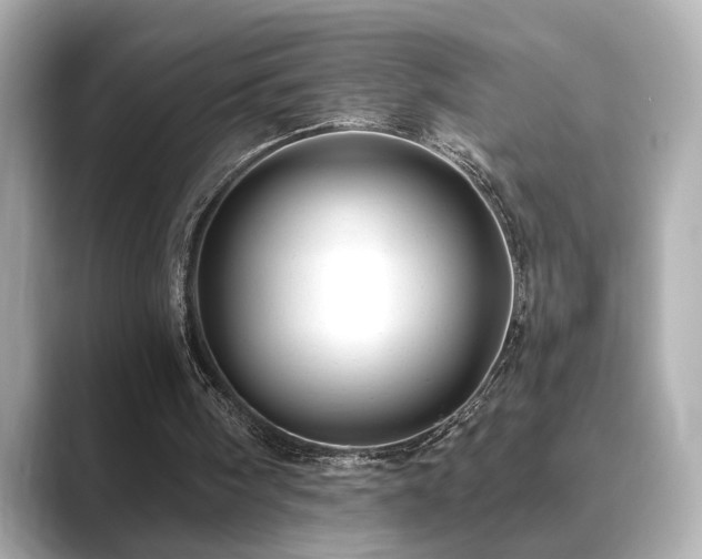 X0000089760098200706211550