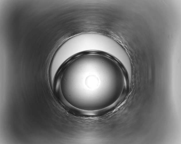 X0000089760099200706211550