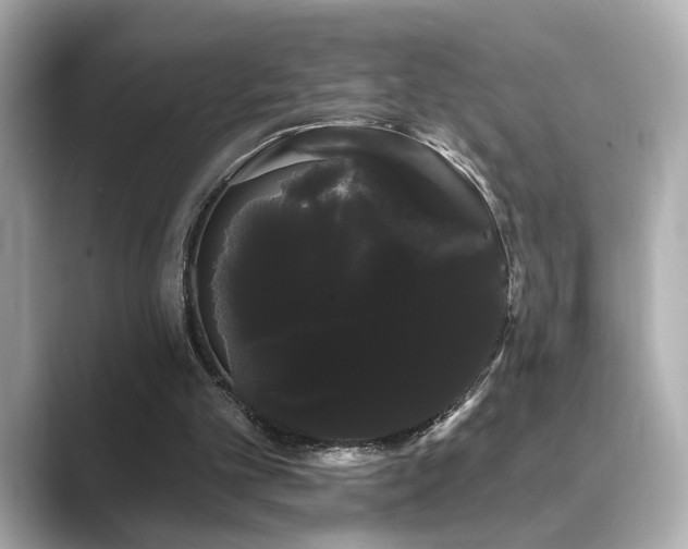 X0000089760101200706211550