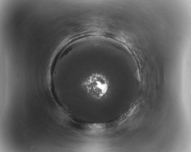 X0000089760102200706211550