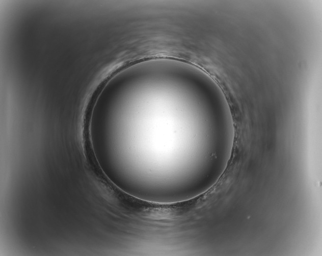 X0000089760104200706211550