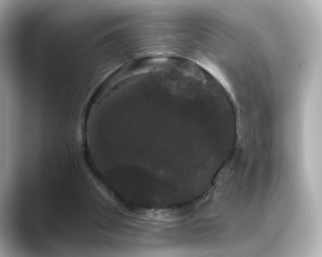 X0000089760105200706211550