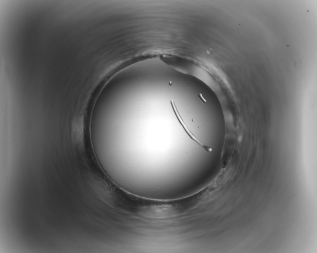 X0000089760108200706211550