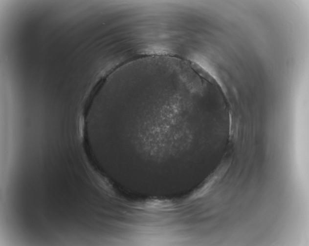 X0000089760109200706211550