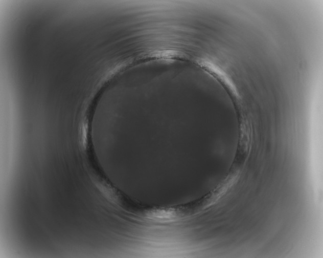 X0000089760110200706211550