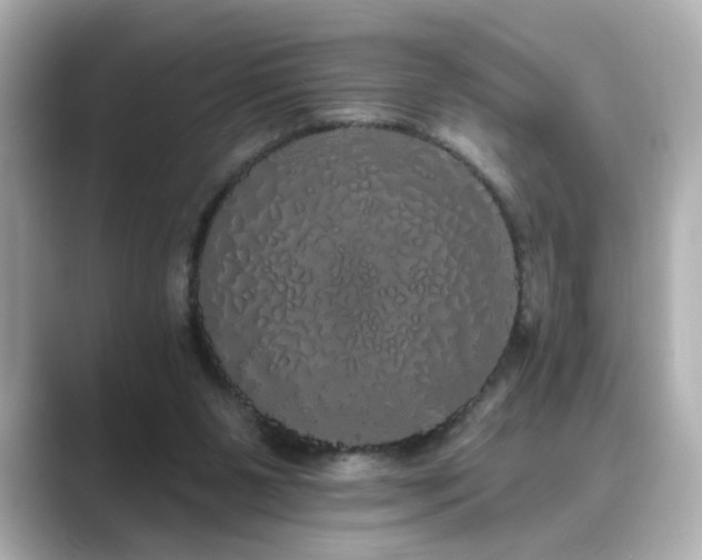 X0000089760111200706211550