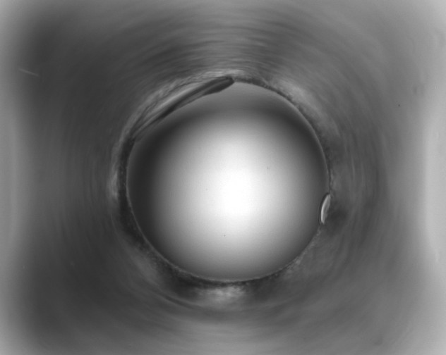 X0000089760112200706211550