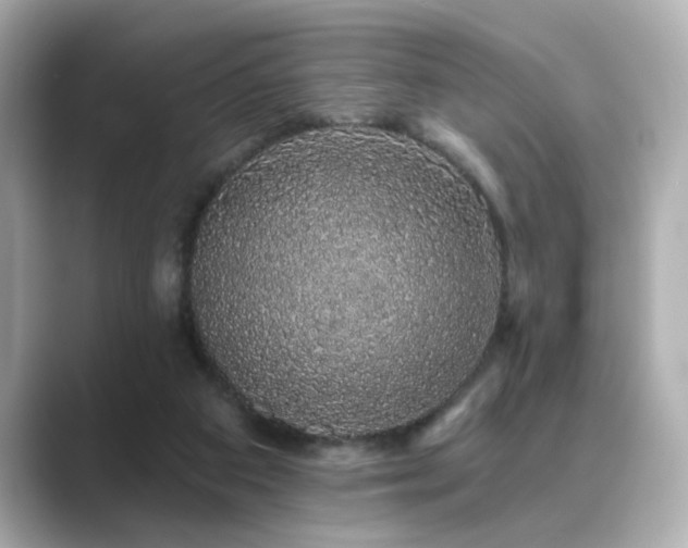X0000089760113200706211550