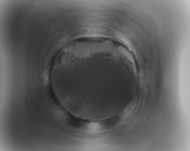 X0000089760114200706211550