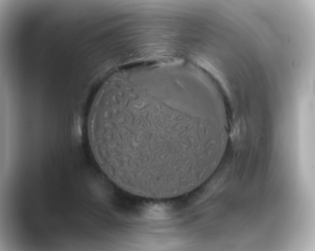 X0000089760115200706211550