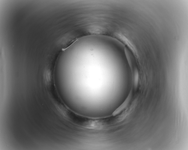 X0000089760117200706211550