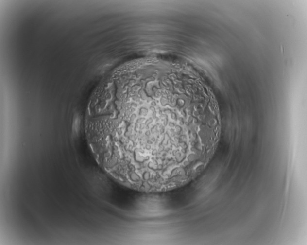 X0000089760123200706211550