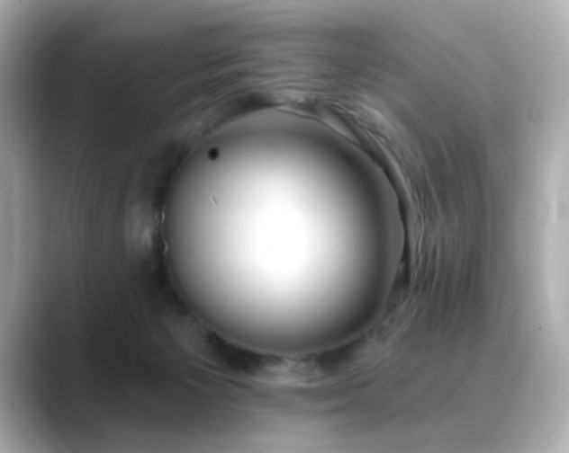 X0000089760125200706211550