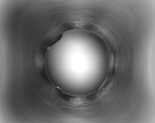 X0000089760129200706211550