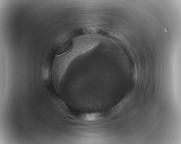 X0000089760134200706211550