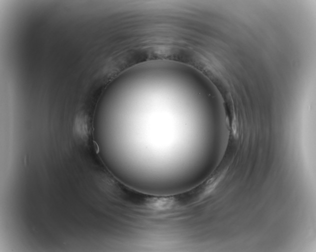 X0000089760135200706211550