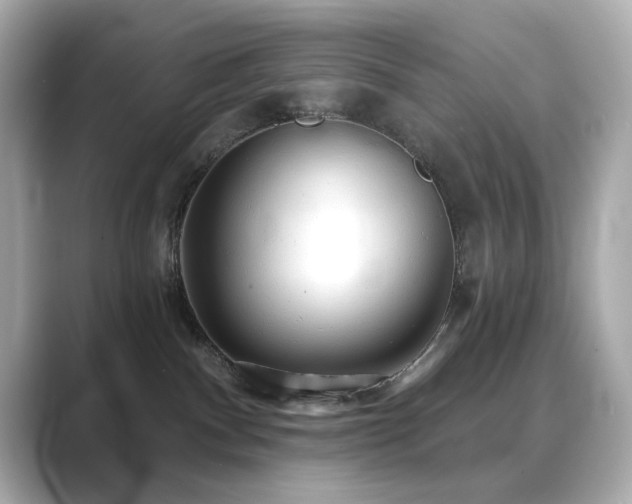 X0000089760140200706211550