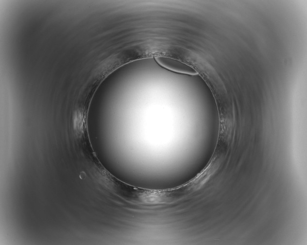 X0000089760142200706211550