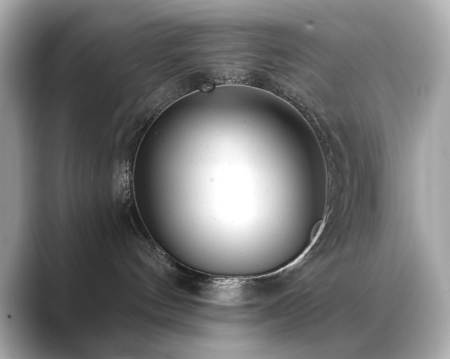 X0000089760144200706211550