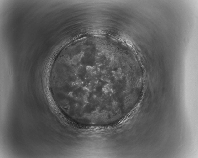 X0000089760145200706211549