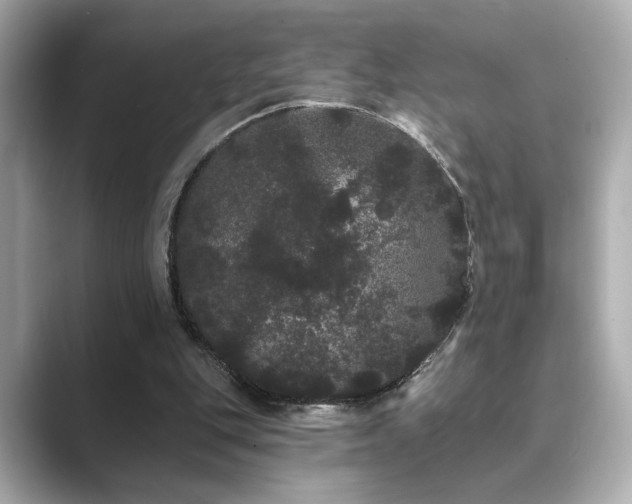 X0000089760151200706211549