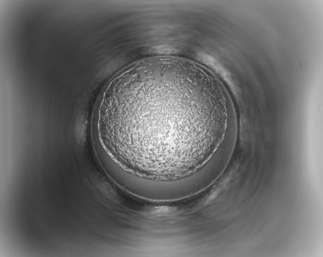 X0000089760153200706211549