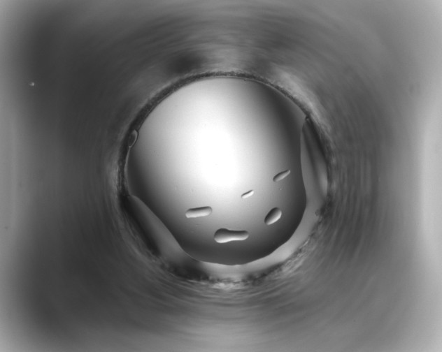X0000089760156200706211550