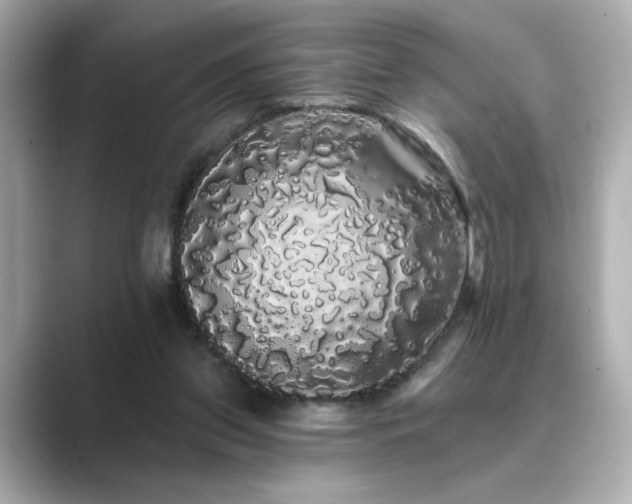 X0000089760157200706211550