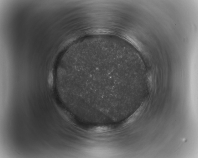 X0000089760158200706211550