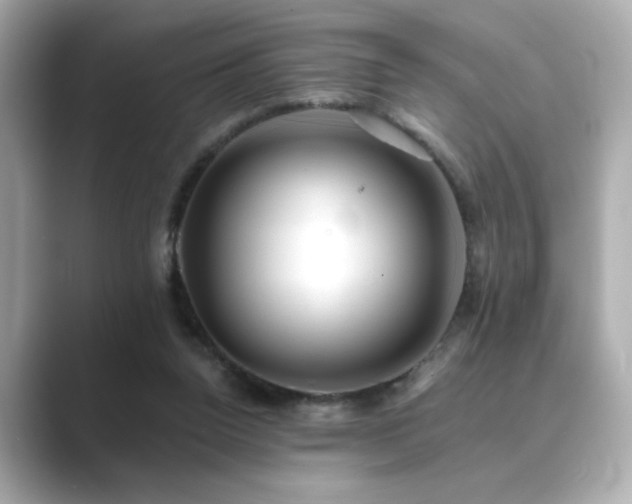 X0000089760160200706211550