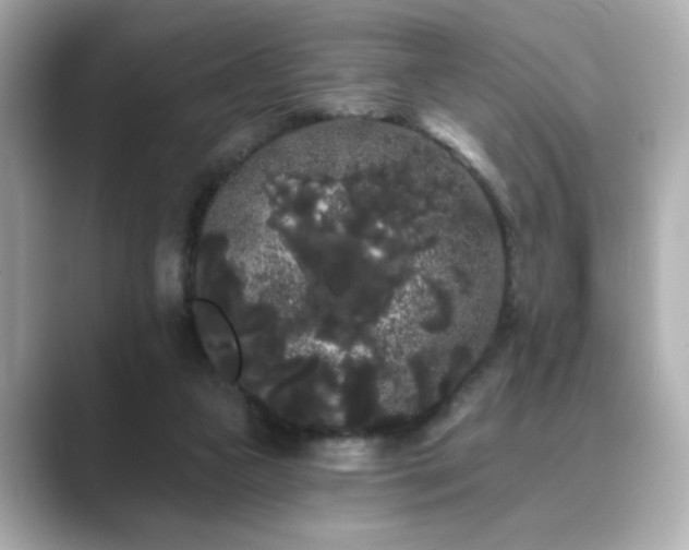 X0000089760161200706211550