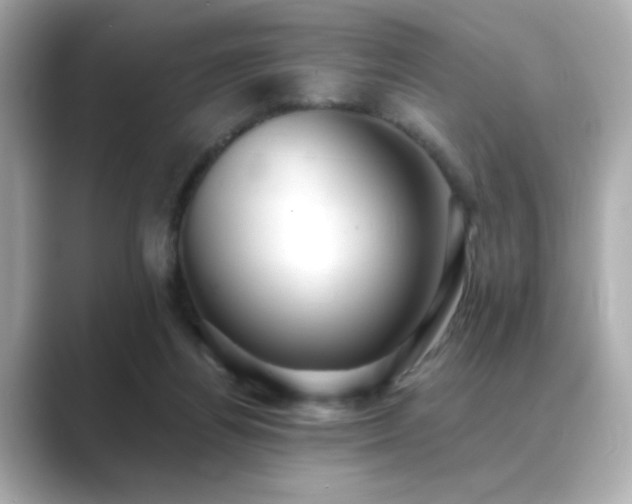 X0000089760164200706211550