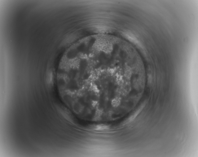 X0000089760165200706211550